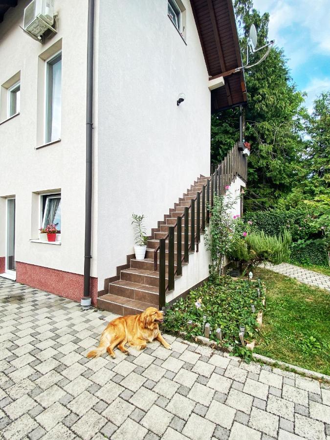 Hotel Guesthouse Stari Jasen Velika Mlaka 외부 사진