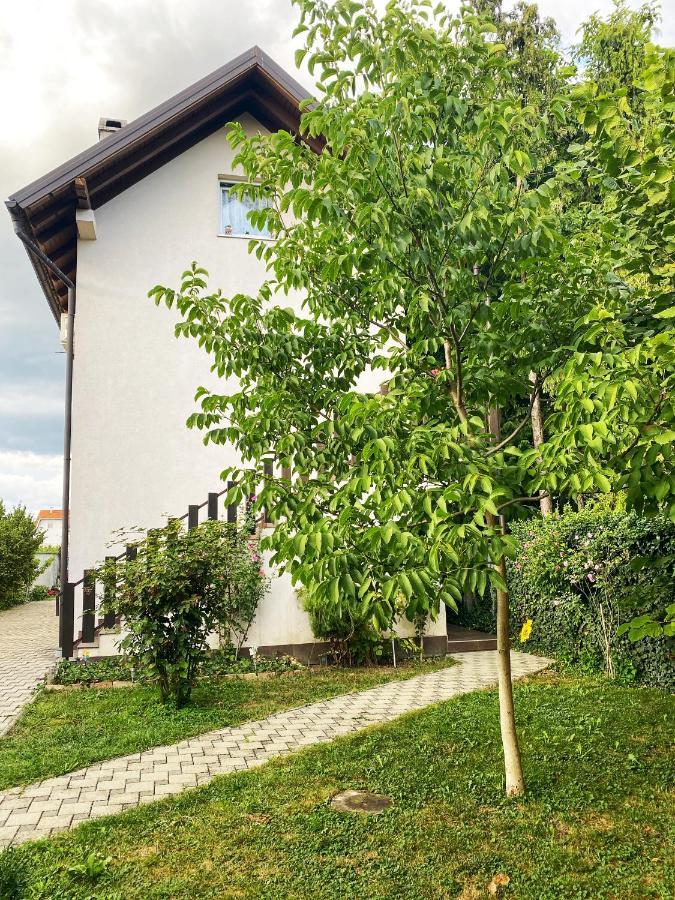 Hotel Guesthouse Stari Jasen Velika Mlaka 외부 사진